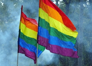 Image of two rainbow flags flying against a blue background